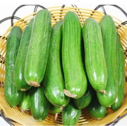 精品荷兰黄瓜 水果小黄瓜新鲜蔬